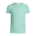 1001 Premium Unisex Tee - Mint