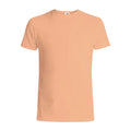 1001 Premium Unisex Tee - Peach