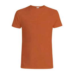 1001 Premium Unisex Tee - Rust